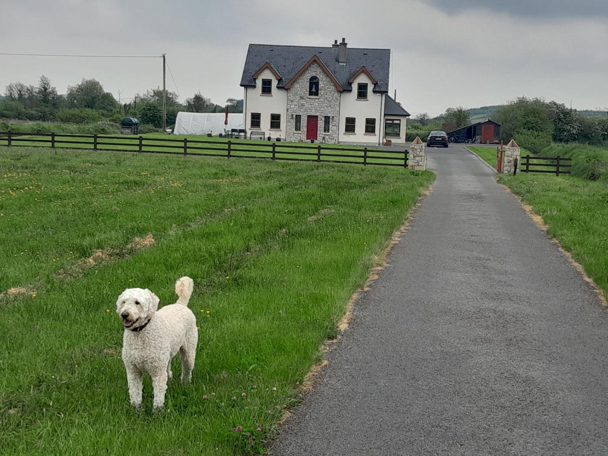 Nature'S Rest Carrick on Shannon 외부 사진